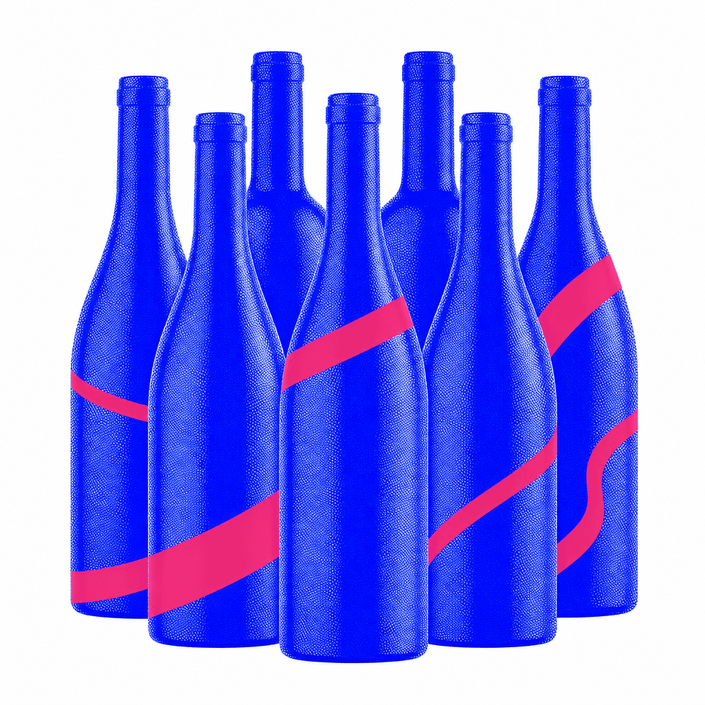 Pack 6 bouteilles de vin